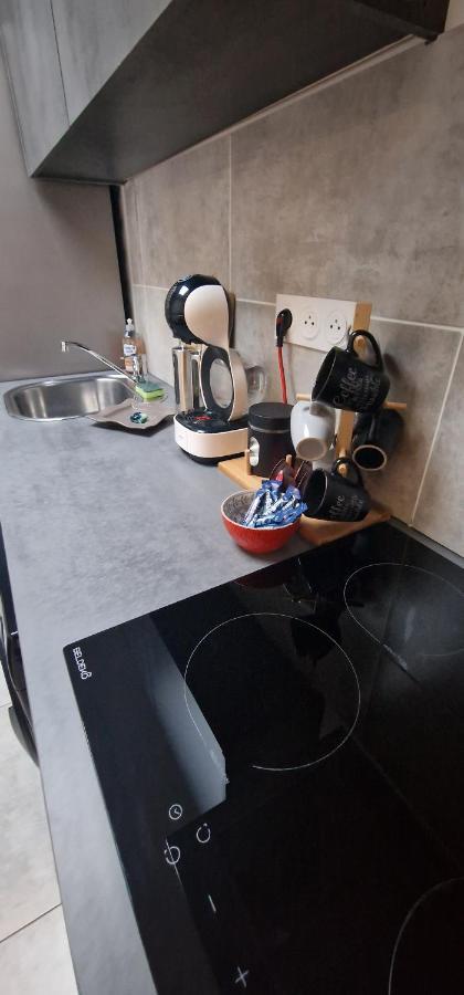 Appartement Cosy Pres De Douai Flers-en-Escribeus Zewnętrze zdjęcie